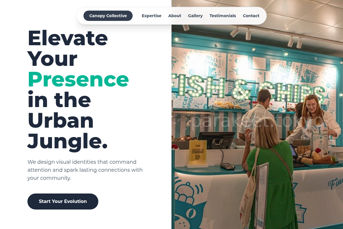 Insight Brand Activation