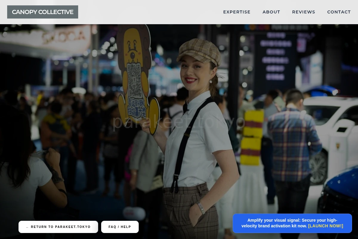 brand-activation