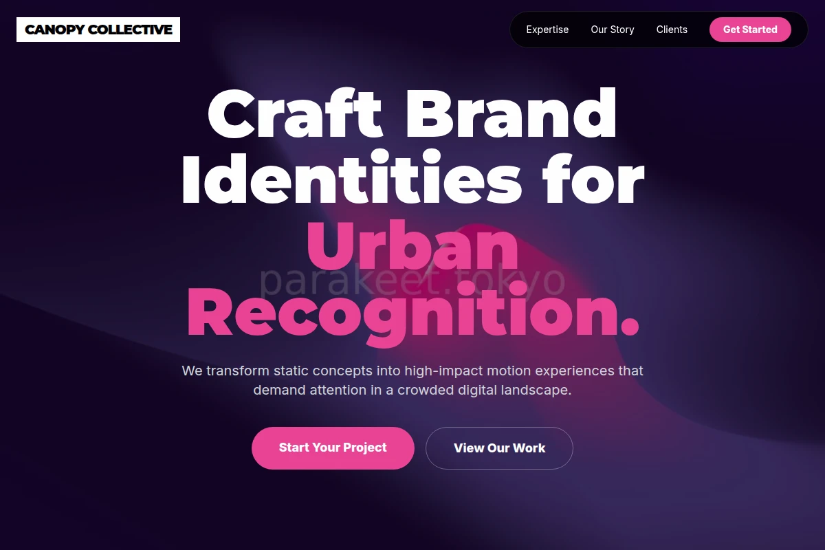Insight Motion Graphics